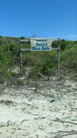 Stella Maris Long Island BS