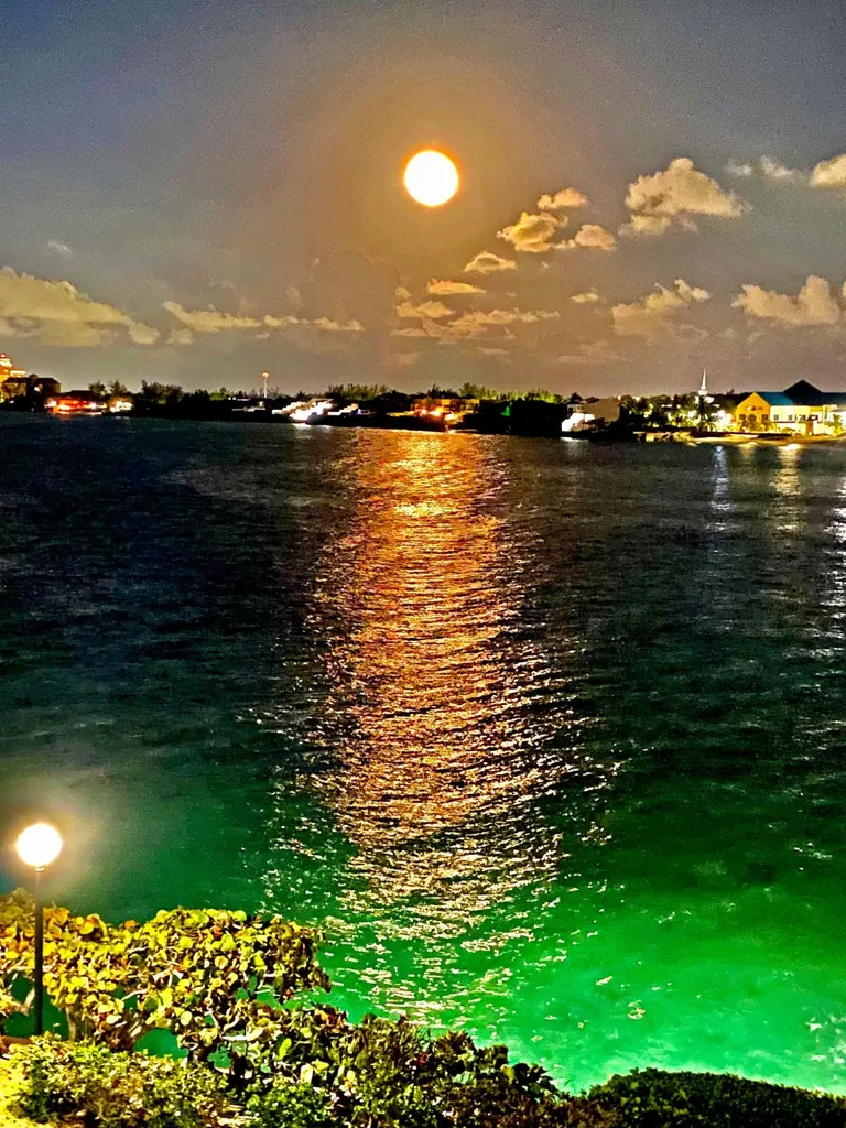 West Bay Street 19 New Providence Paradise Island BS