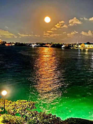 West Bay Street 19 New Providence Paradise Island BS