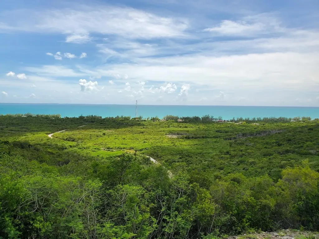 Top Of Zion Hill, Cat Isl Cat Island BS
