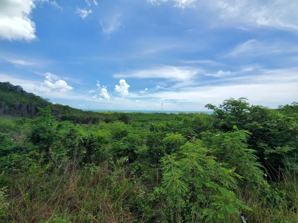 Top Of Zion Hill, Cat Isl Cat Island BS