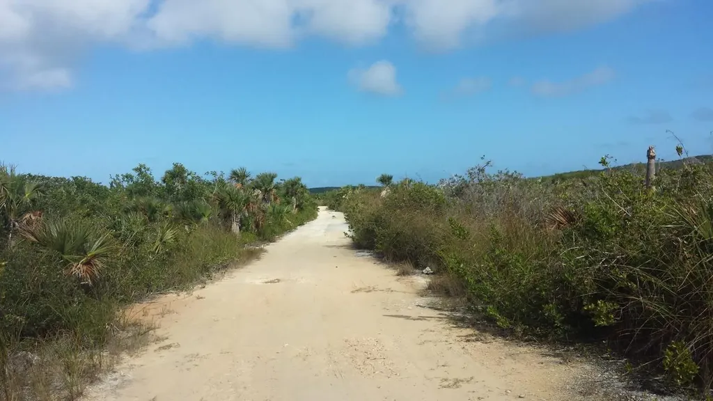 Top Of Zion Hill, Cat Isl Cat Island BS