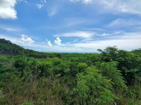 Top Of Zion Hill, Cat Isl Cat Island BS