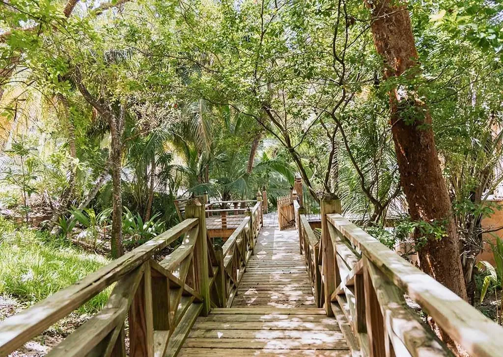 Sandycombe Eleuthera BS