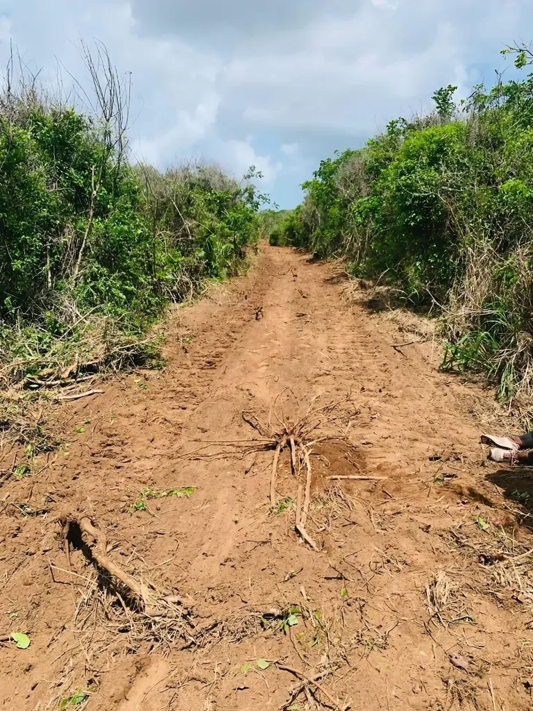Lot C - Queen's Highway Eleuthera BS