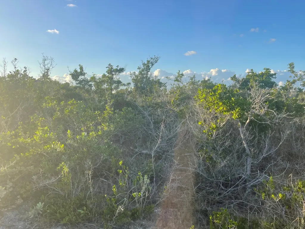 Forsythia Road 1365 Exuma BS