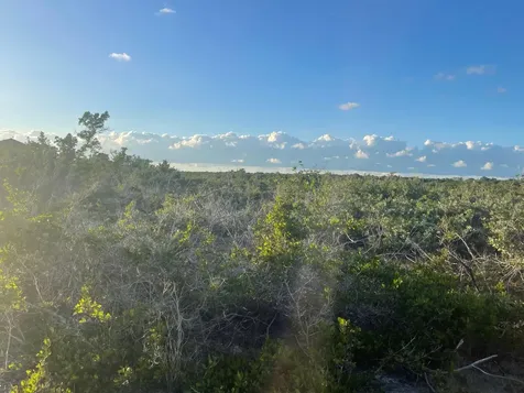 Forsythia Road 1365 Exuma BS