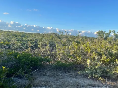 Forsythia Road 1365 Exuma BS