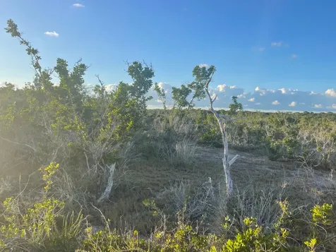 Forsythia Road 1365 Exuma BS
