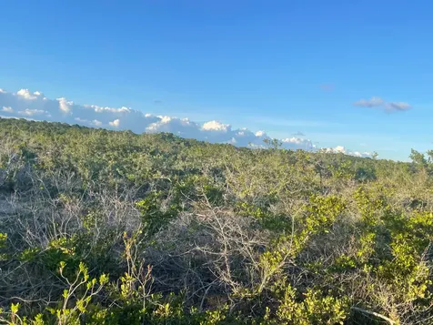 Forsythia Road 1365 Exuma BS