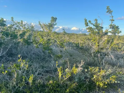 Forsythia Road 1365 Exuma BS