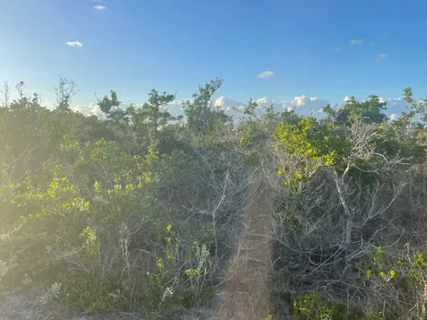 Forsythia Road 1365 Exuma BS