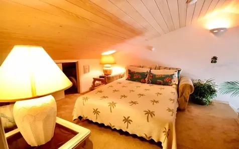 Bimini Cove Bimini BS