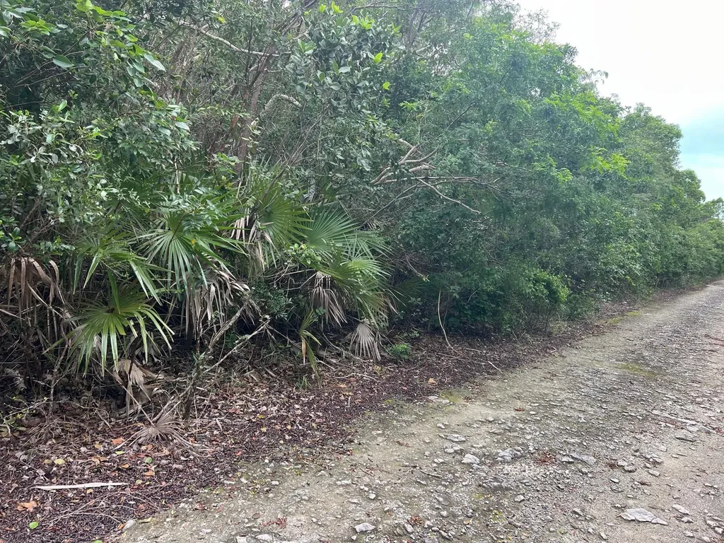 Dolphin Road Exuma BS