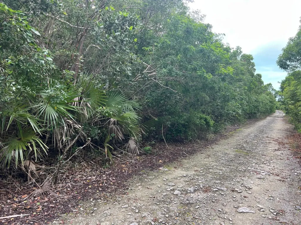 Dolphin Road Exuma BS