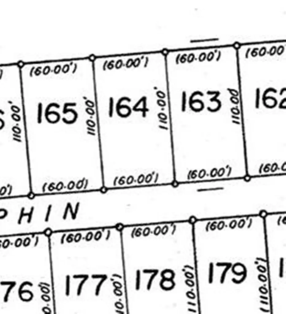 Dolphin Road Exuma BS