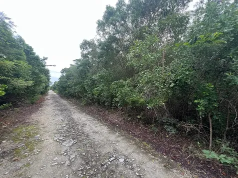 Dolphin Road Exuma BS