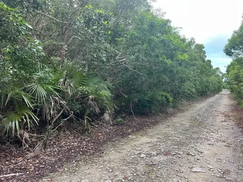 Dolphin Road Exuma BS
