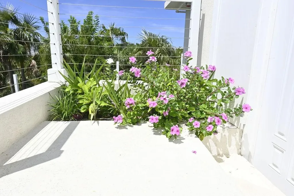 Singing Sands Of Bank Eleuthera BS