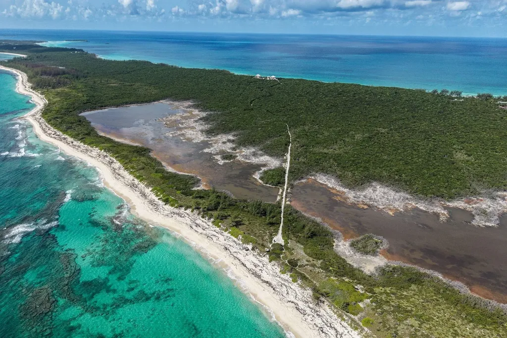 Buttonwood Reserve Eleuthera BS