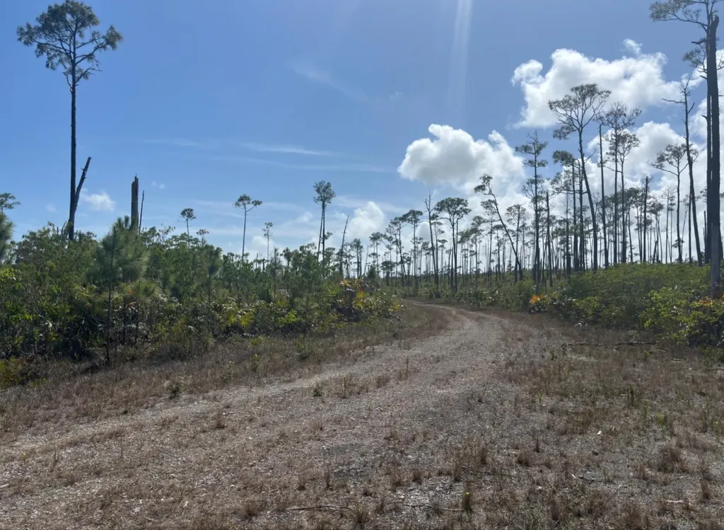 Lot# 7 Chesapeake Sub. Grand Bahama Freeport BS