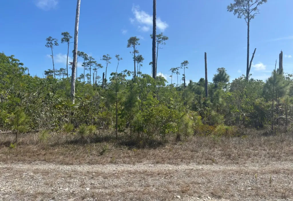 Lot# 7 Chesapeake Sub. Grand Bahama Freeport BS