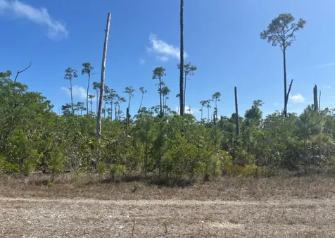 Lot# 7 Chesapeake Sub. Grand Bahama Freeport BS