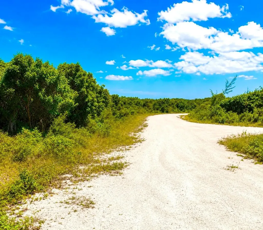 Rum Cay 225 Acres Rum Cay BS