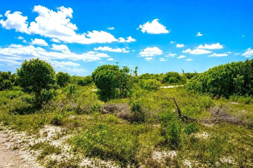 Rum Cay 225 Acres Rum Cay BS
