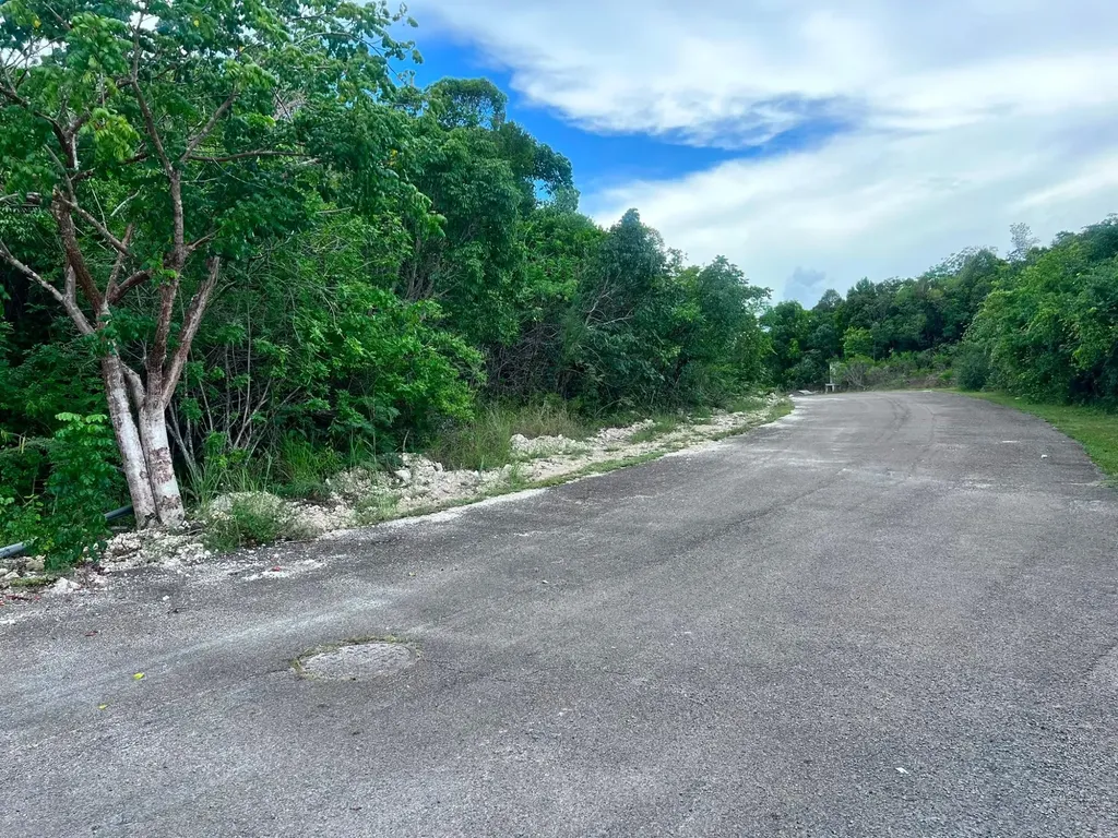 Lyford Hills 8lot 98 New Providence Paradise Island BS