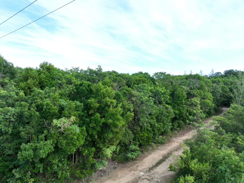 Tarpum Bay Vacant Lot Eleuthera BS