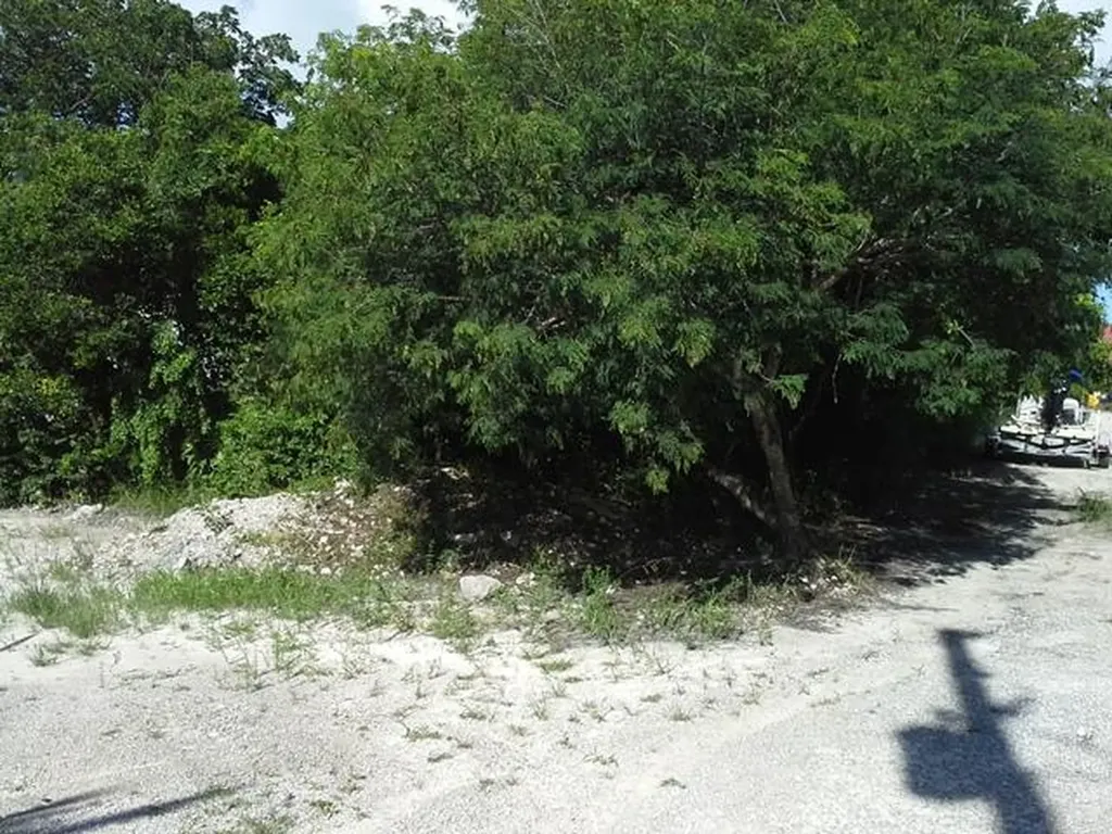 The Cays, Exuma Exuma BS