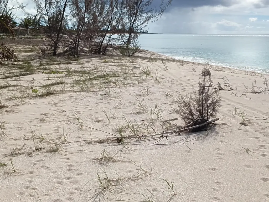 Lot 47, Seahorse Shores Crooked Island BS