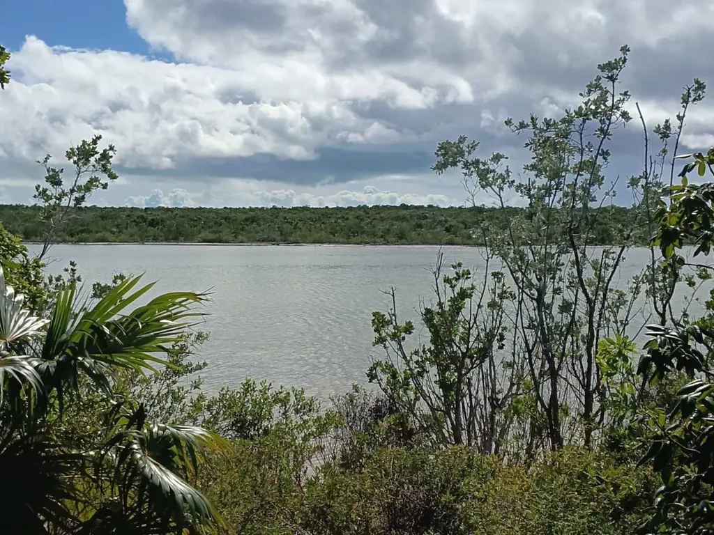 Lot 47, Seahorse Shores Crooked Island BS