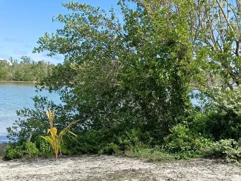Lot 47, Seahorse Shores Crooked Island BS