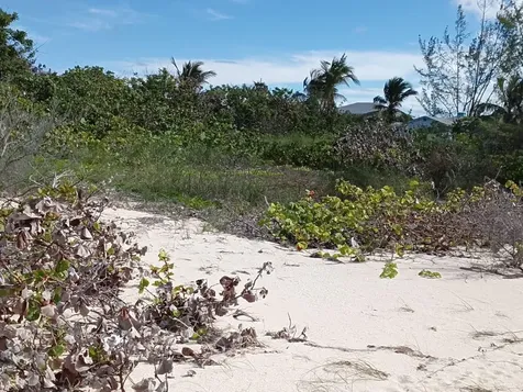 Lot 47, Seahorse Shores Crooked Island BS
