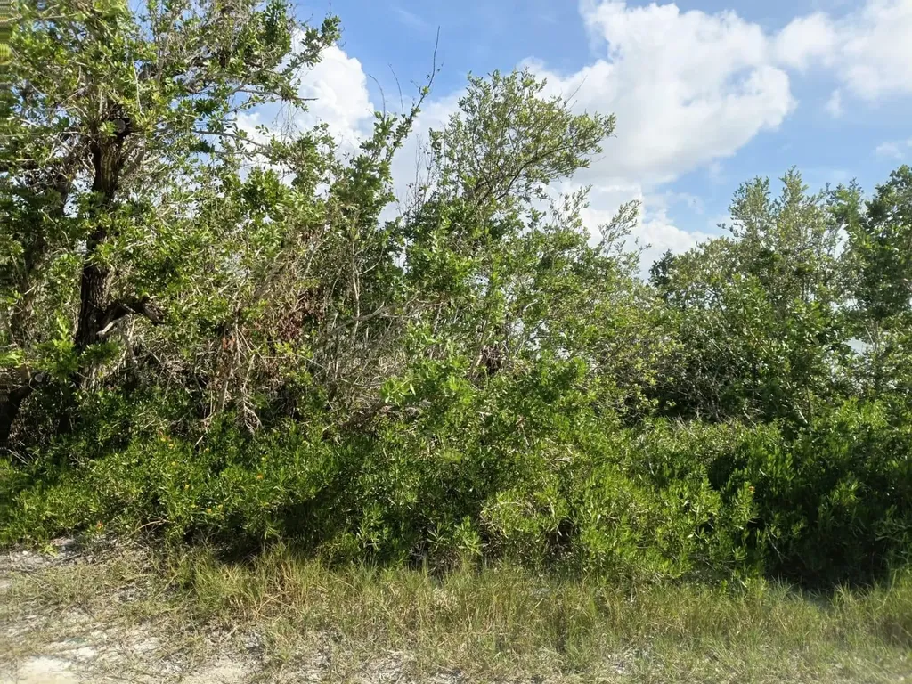 Lot 88, Seahorse Shores Crooked Island BS
