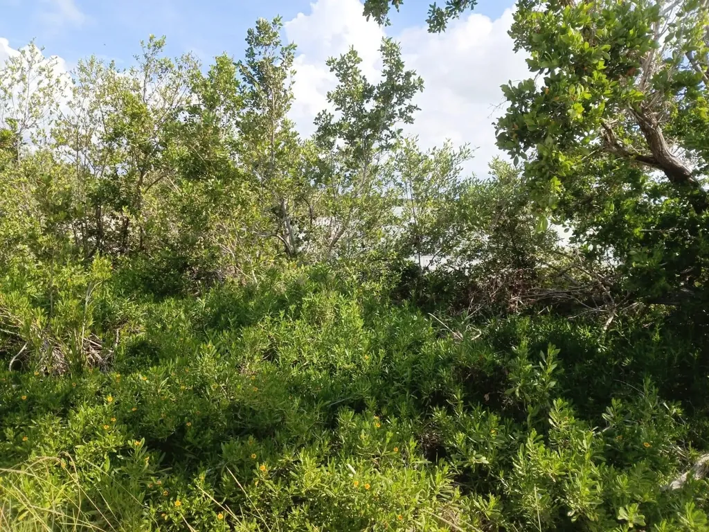 Lot 88, Seahorse Shores Crooked Island BS