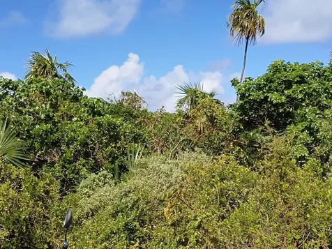 Lot 88, Seahorse Shores Crooked Island BS