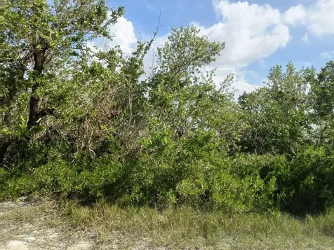 Lot 88, Seahorse Shores Crooked Island BS