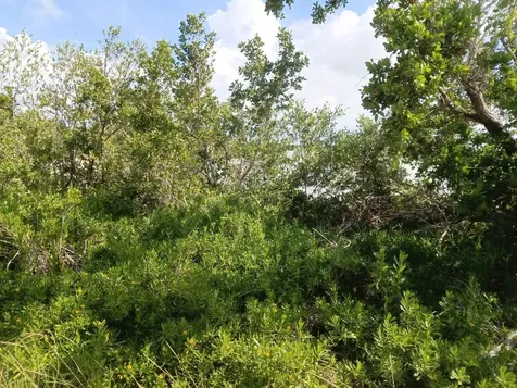 Lot 88, Seahorse Shores Crooked Island BS