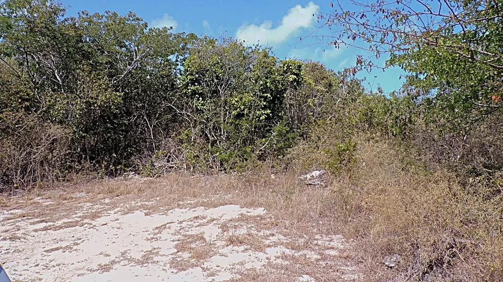 Lot# 2 Salt Pond Long Island BS