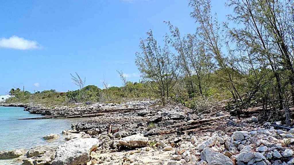 Lot# 2 Salt Pond Long Island BS
