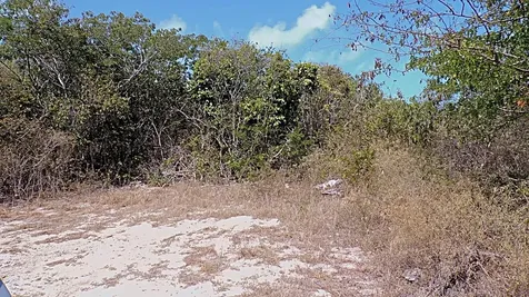 Lot# 2 Salt Pond Long Island BS