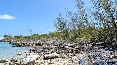 Lot# 2 Salt Pond Long Island BS