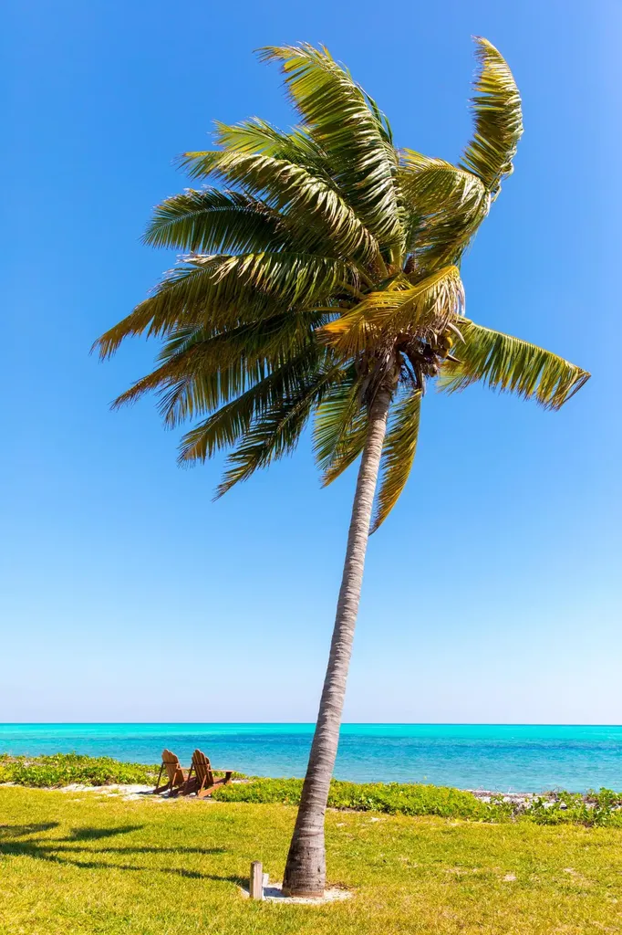 Shoreline Development Grand Bahama Freeport BS