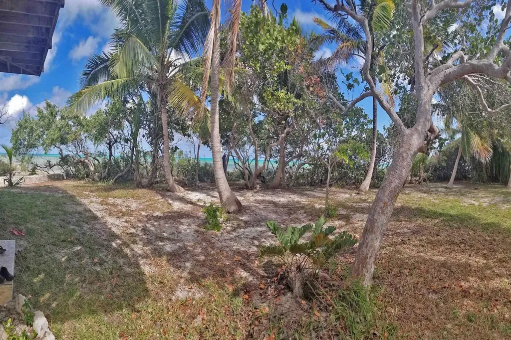 Swain's Cay Andros BS