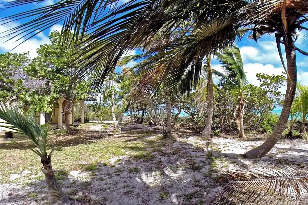 Swain's Cay Andros BS