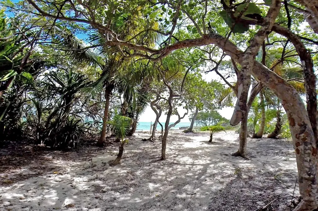 Swain's Cay Andros BS