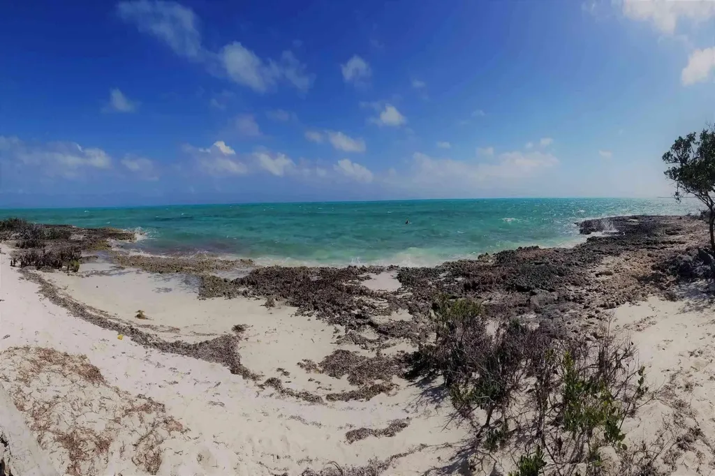 Swain's Cay Andros BS